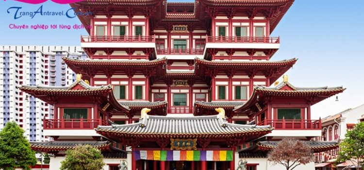 Những trải nghiệm bạn nên thử khi tới Khu phố tàu ở Singapore