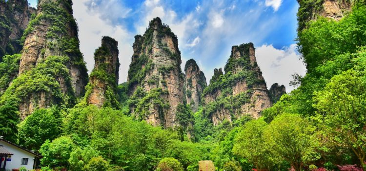 Tất cả những gì bạn cần biết trước khi đến thăm Công viên rừng quốc gia Trương Gia Giới