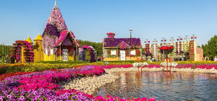 Vườn Dubai Miracle – Nơi những bông hoa nở ra từ cát bụi
