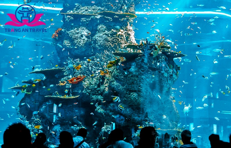 Thủy cung S.E.A Aquarium