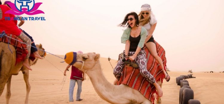 Cưỡi lạc đà ở Sa mạc Safari