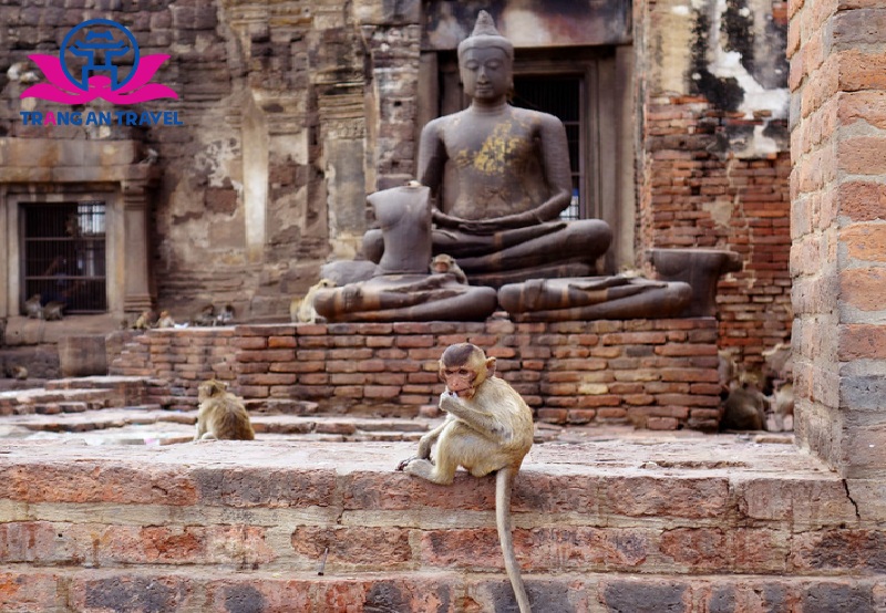 Lopburi - thị trấn khỉ