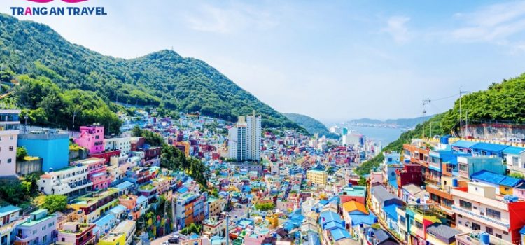 Làng văn hóa Gamcheon – ngôi làng bích họa tuyệt đẹp giữa lòng Busan