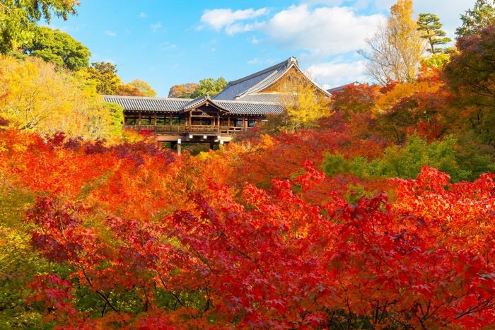 du lịch Nhật Bản mùa lá đỏ