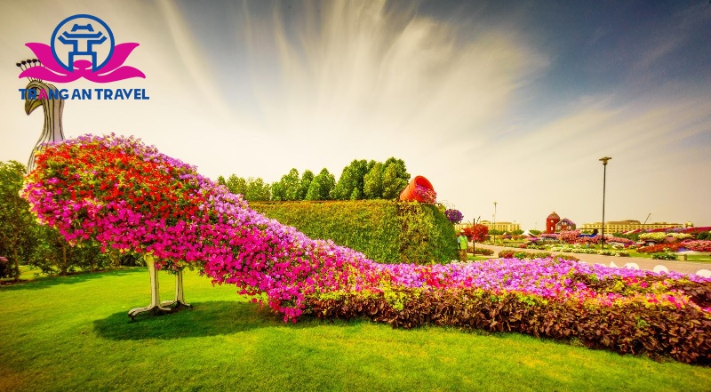 Vườn hoa Miracle Garden