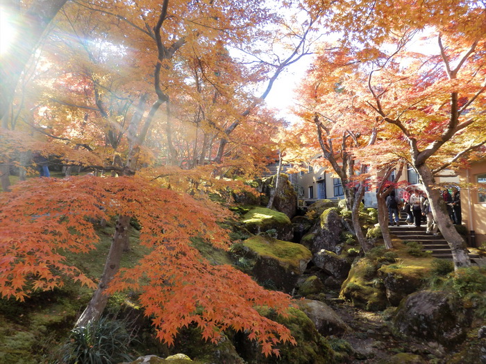 Bảo tàng nghệ thuật Hakone