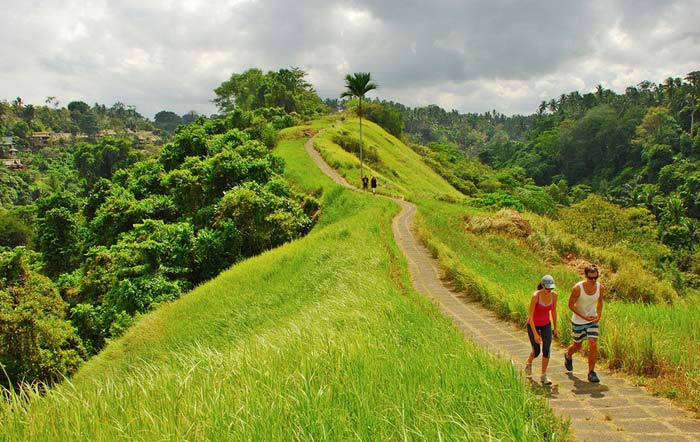 thị trấn Ubud Bali