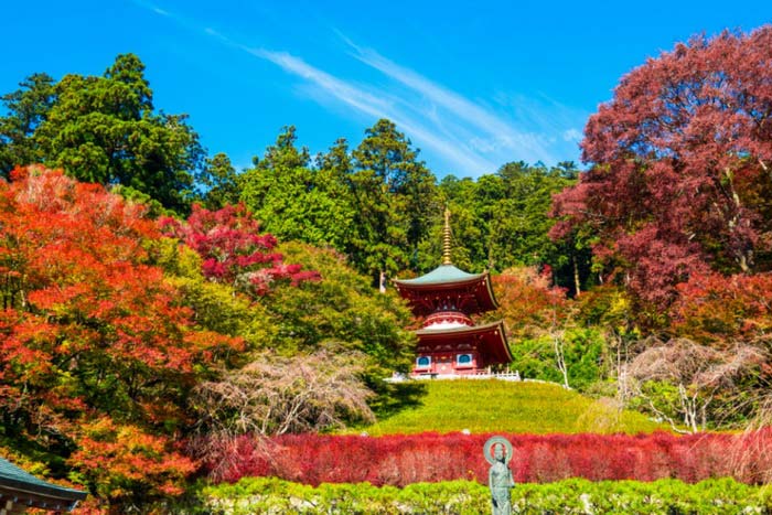 Osaka mùa lá đỏ