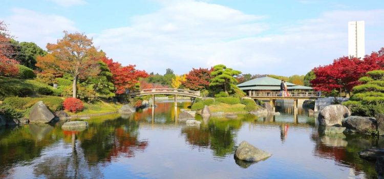 7 địa điểm đẹp nhất để ngắm Osaka mùa lá đỏ