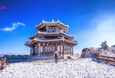 Tour du lịch Hàn Quốc