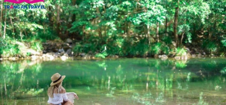 Top 5 điểm tham quan hàng đầu bạn nên ghé thăm khi tới Queensland