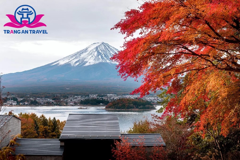 Thời điểm đẹp nhất để đi du lịch Nhật Bản là tháng 10