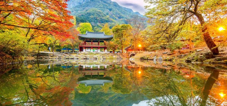 Tất cả những điều bạn cần biết nếu có ý định đi du lịch Hàn Quốc tháng 10