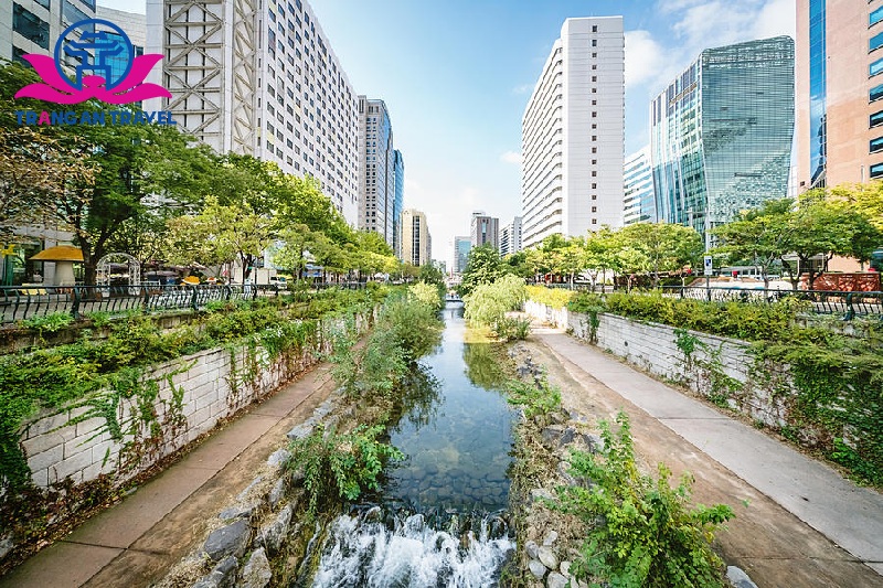 Suối Cheonggyecheon
