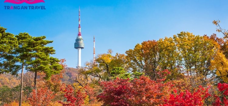 Top 10 điểm tham quan hấp dẫn nhất ở Seoul