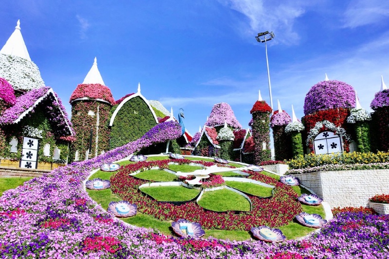 Vườn hoa diệu kỳ Dubai 