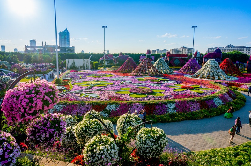 Vườn hoa diệu kỳ Dubai