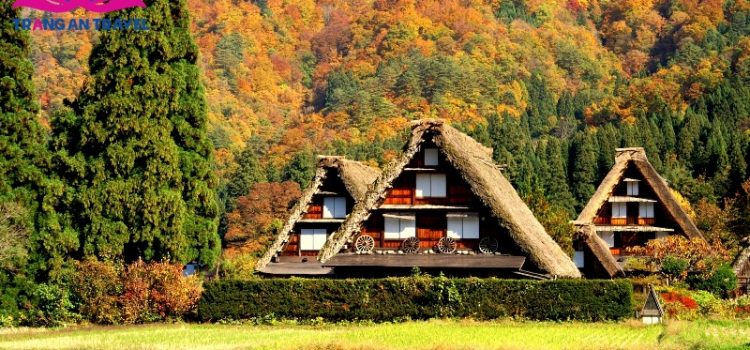 Những ngôi nhà gỗ cổ kính ở Shirakawa-go
