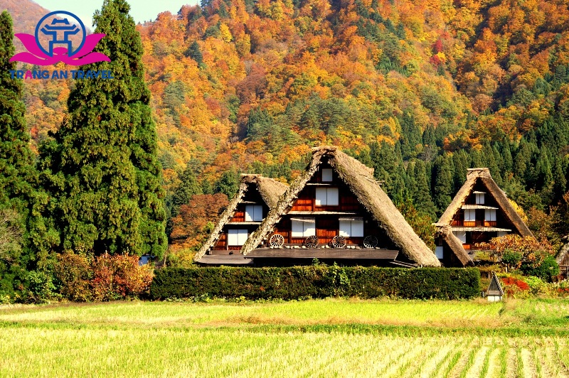 Những ngôi nhà gỗ cổ kính ở Shirakawa go