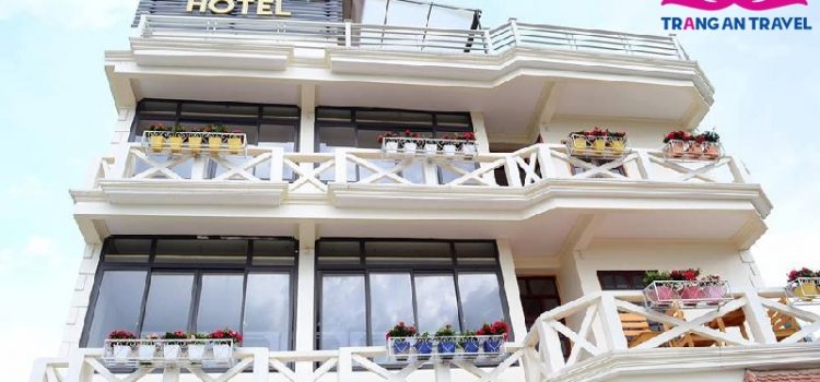 Combo du lịch Sapa 2n1đ: vé xe + phòng nghỉ Sapa Capsule Hotel