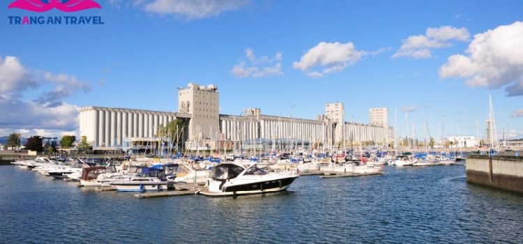 Hải cảng cổ Vieux-Port