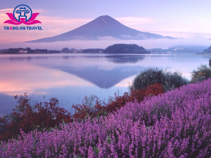 Hồ Kawaguchiko - nơi lý tưởng để ngắm nhìn vẻ đẹp của Núi Phú Sĩ