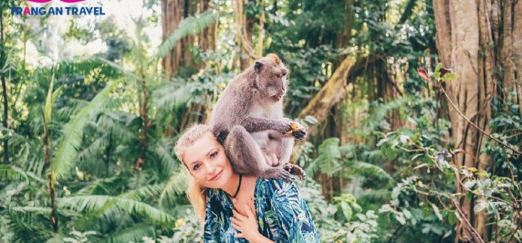 10 trải nghiệm thú vị bạn nên làm khi tới Ubud, Bali