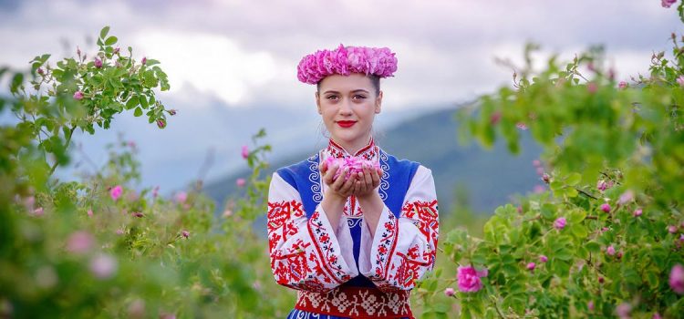 Lễ Hội Hoa Hồng Bulgaria – Nét đẹp văn hóa của bán đảo Balkan huyền thoại