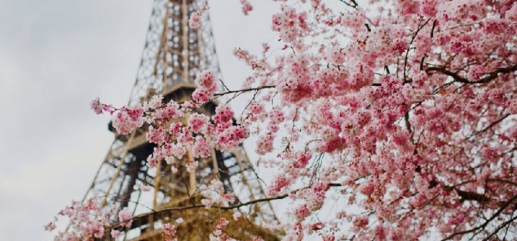 Đi du lịch Pháp mùa hoa anh đào