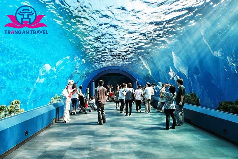 Đường hầm dưới nước ở Công viên thủy cung Pattaya