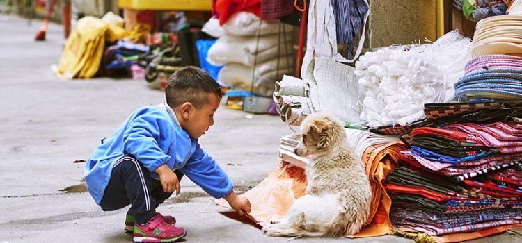 10 lý do tại sao bạn nên đi du lịch Tứ Xuyên ngay và luôn