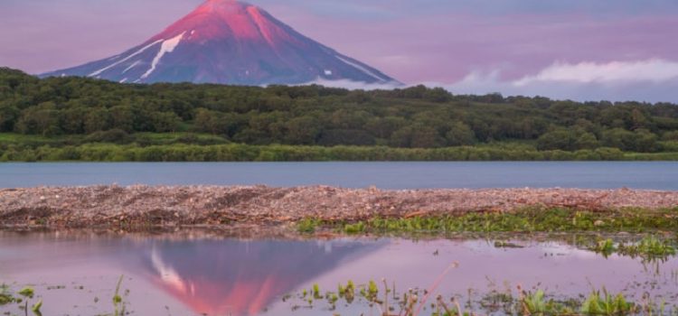 Hồ Kuril, Kamchatka – Vương quốc của loài gấu nâu