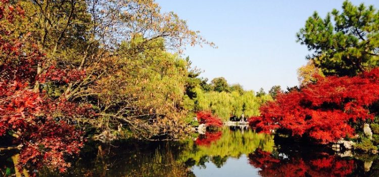 Top 5 điểm đến hàng đầu bạn nên ghé thăm khi tới Hàng Châu