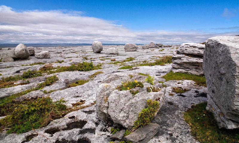 The Burren