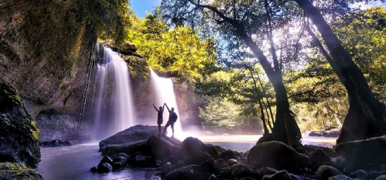 Ghé thăm công viên quốc gia Khao Yai – công viên quốc gia lâu đời nhất của Thái Lan