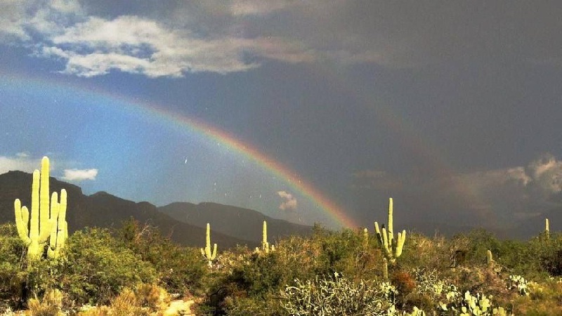 Tucson, Arizona