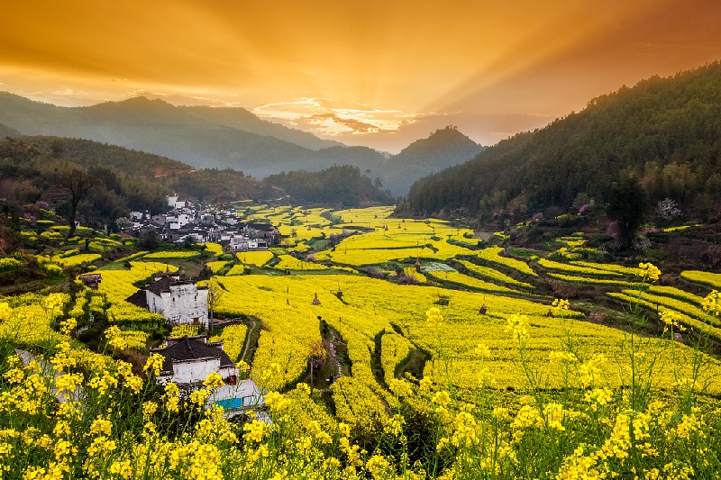 Wuyuan, tỉnh Giang Tây