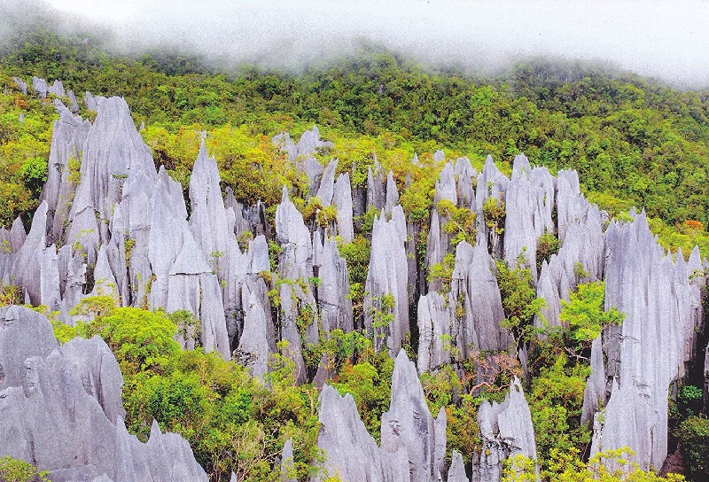 Công viên quốc gia Gunung Mulu, Borneo