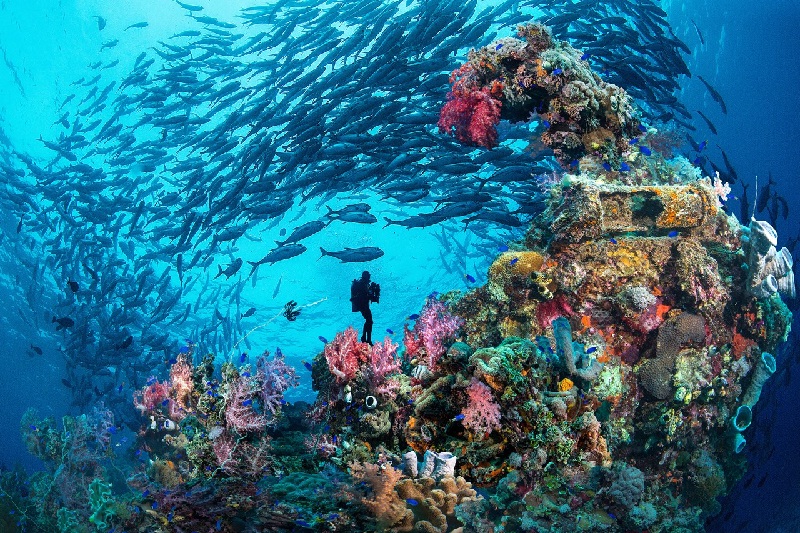 Liên bang Micronesia - nơi nổi tiếng với những rạn san hô tuyệt đẹp