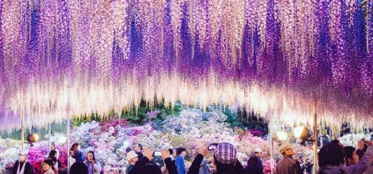10 địa điểm tốt nhất để đi du lịch vào tháng 5