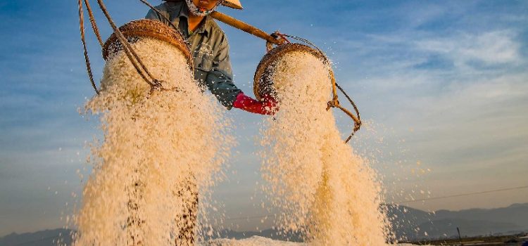 Du lịch Nha Trang và những điểm đến không thể bỏ qua