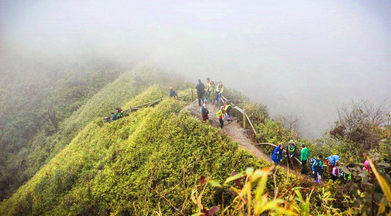 Trekking Fansipan 