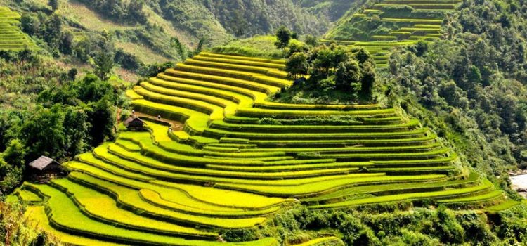 Khám phá những địa điểm đẹp như tranh vẽ bạn nên ghé thăm khi đi du lịch Sapa