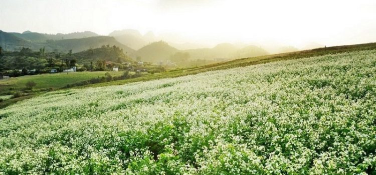 Chia sẻ kinh nghiệm du lịch Tây Bắc cho những người lần đầu tiên tới đây
