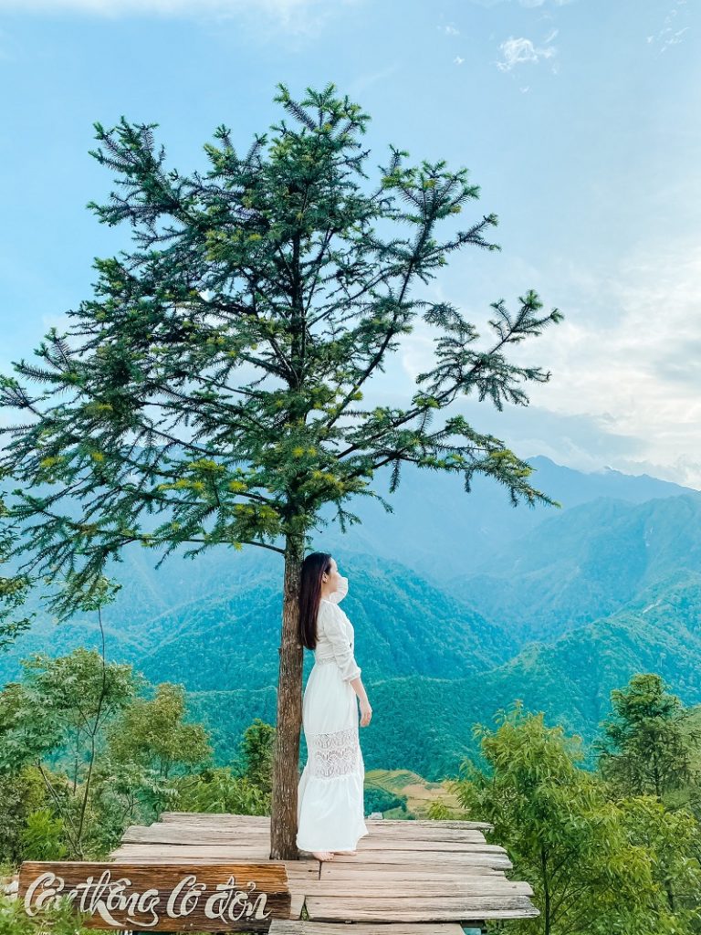 Cây thông cô đơn - địa điểm du lịch Sapa nổi tiếng nhất