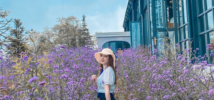 Chia sẻ kinh nghiệm du lịch Sapa từ A đến Z