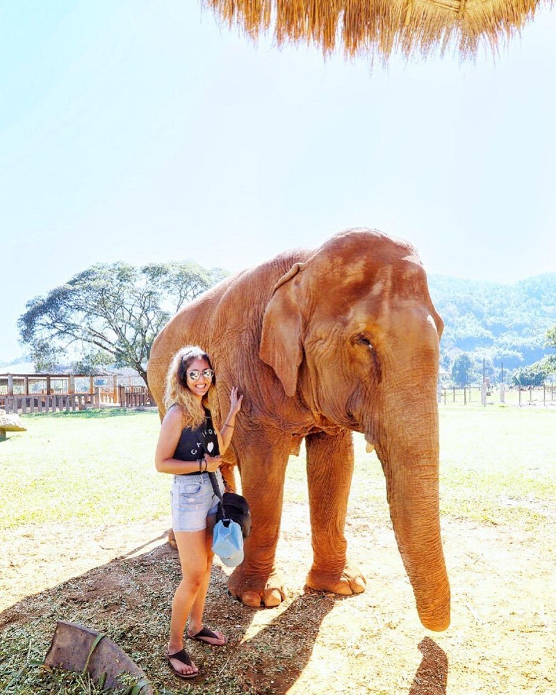 Khu bảo tồn voi Chiang Mai