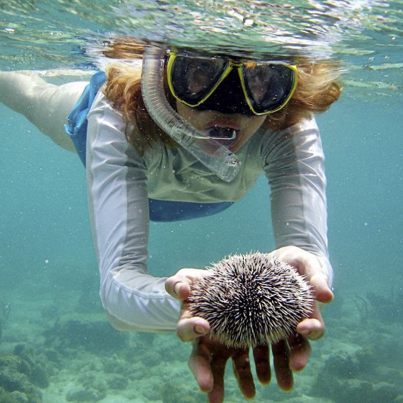 Lặn ngắm san hô là trải nghiệm cực kỳ thú vị mà bạn nên thử khi đến Hòn Móng Tay