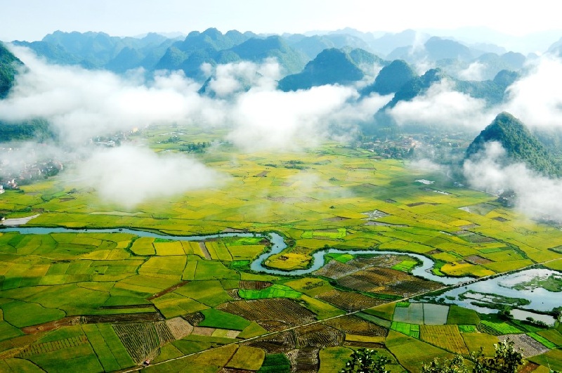 Thung lũng Bắc Sơn mùa lúa chín vàng