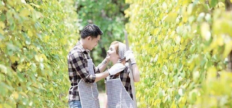 Những điểm tham quan hàng đầu ở Bắc Đảo Phú Quốc